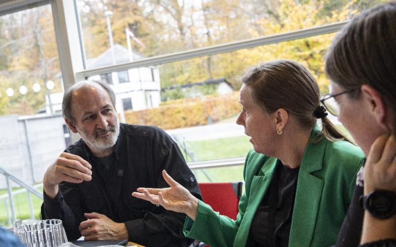 Interne udvalg og netværk