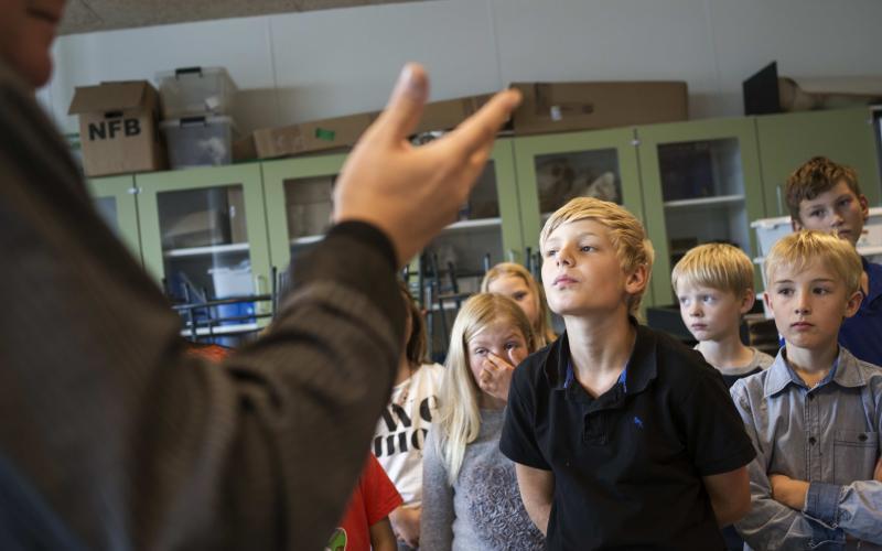 Princip for undervisningens organisering